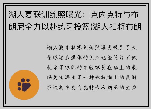 湖人夏联训练照曝光：克内克特与布朗尼全力以赴练习投篮(湖人扣将布朗)