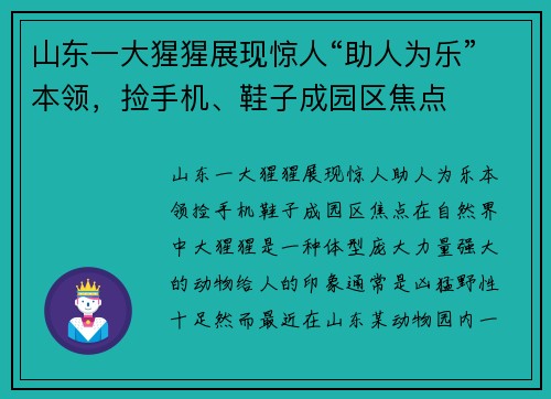 山东一大猩猩展现惊人“助人为乐”本领，捡手机、鞋子成园区焦点